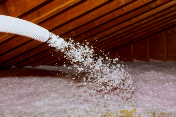 Best Specialty Insulation in Silver Hill, MD